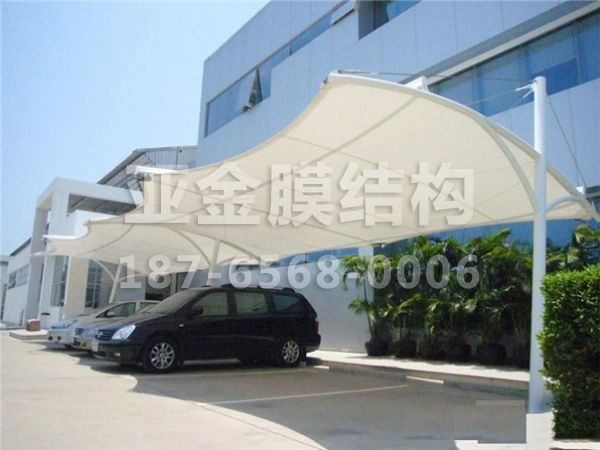 汽车棚膜结构 (44)