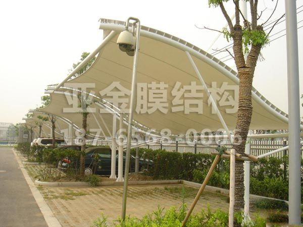 汽车棚膜结构 (43)