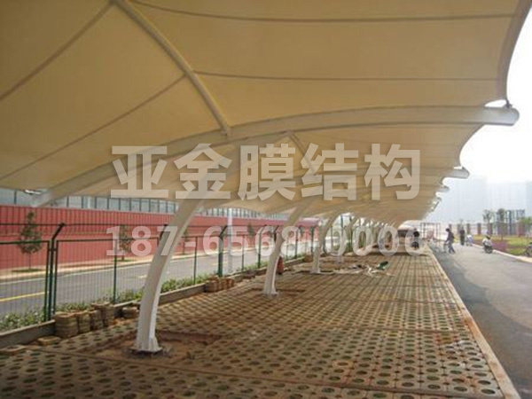 汽车棚膜结构 (42)