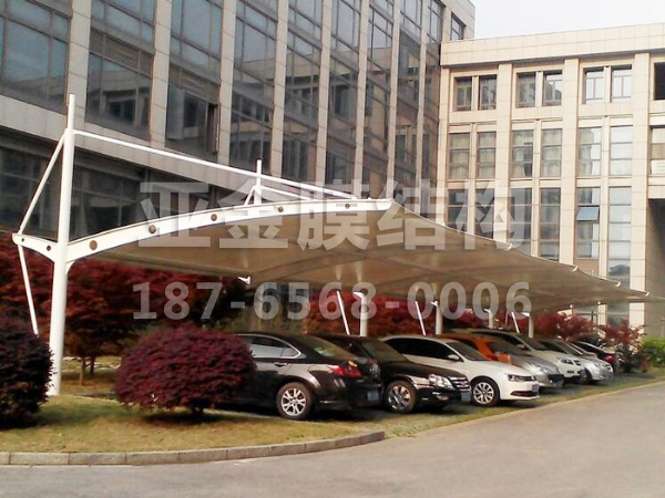 汽车棚膜结构 (40)