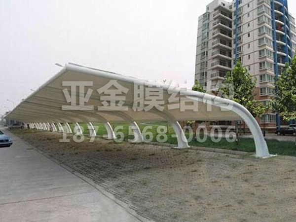 汽车棚膜结构 (36)