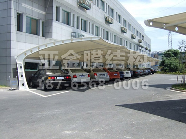 汽车棚膜结构 (24)