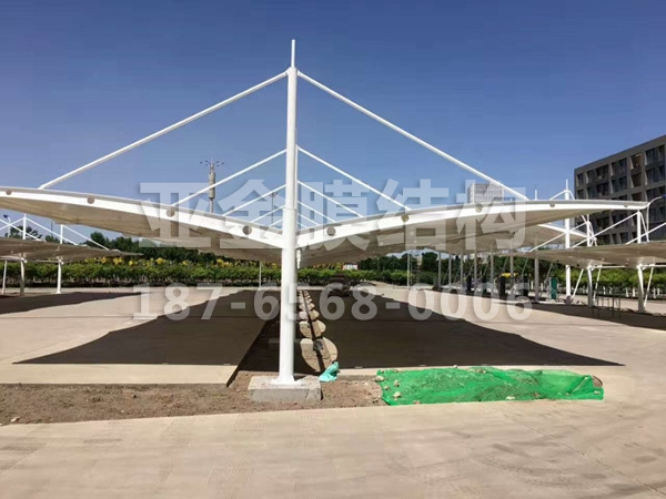 汽车棚膜结构 (2)