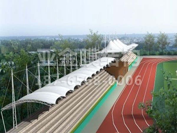 体育看台膜结构 (15)
